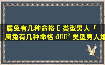 属兔有几种命格 ☘ 类型男人「属兔有几种命格 🌲 类型男人婚姻」